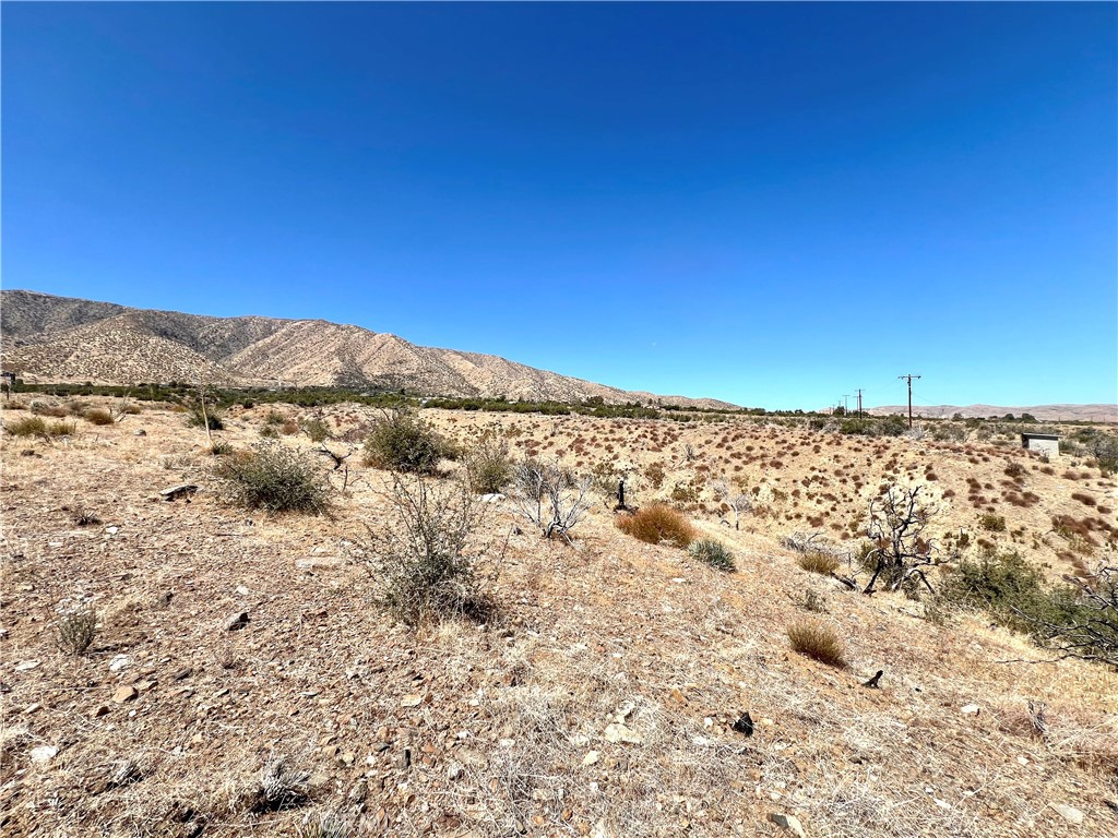 113 Juniper Mesa Road Property Photo 6