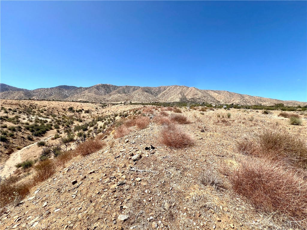 113 Juniper Mesa Road Property Photo 7