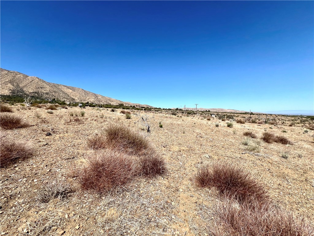 113 Juniper Mesa Road Property Photo 8