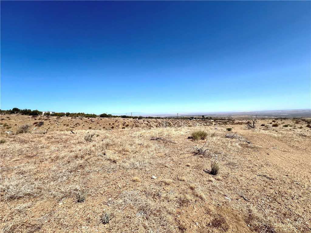 113 Juniper Mesa Road Property Photo 12