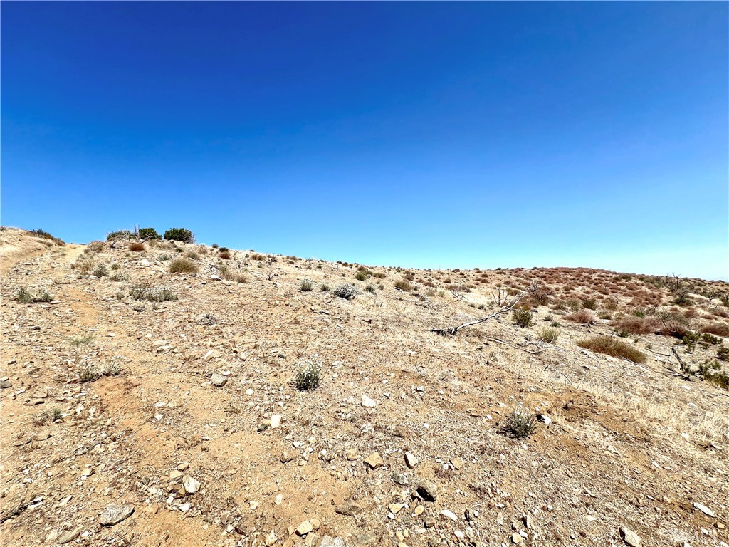 113 Juniper Mesa Road Property Photo 15