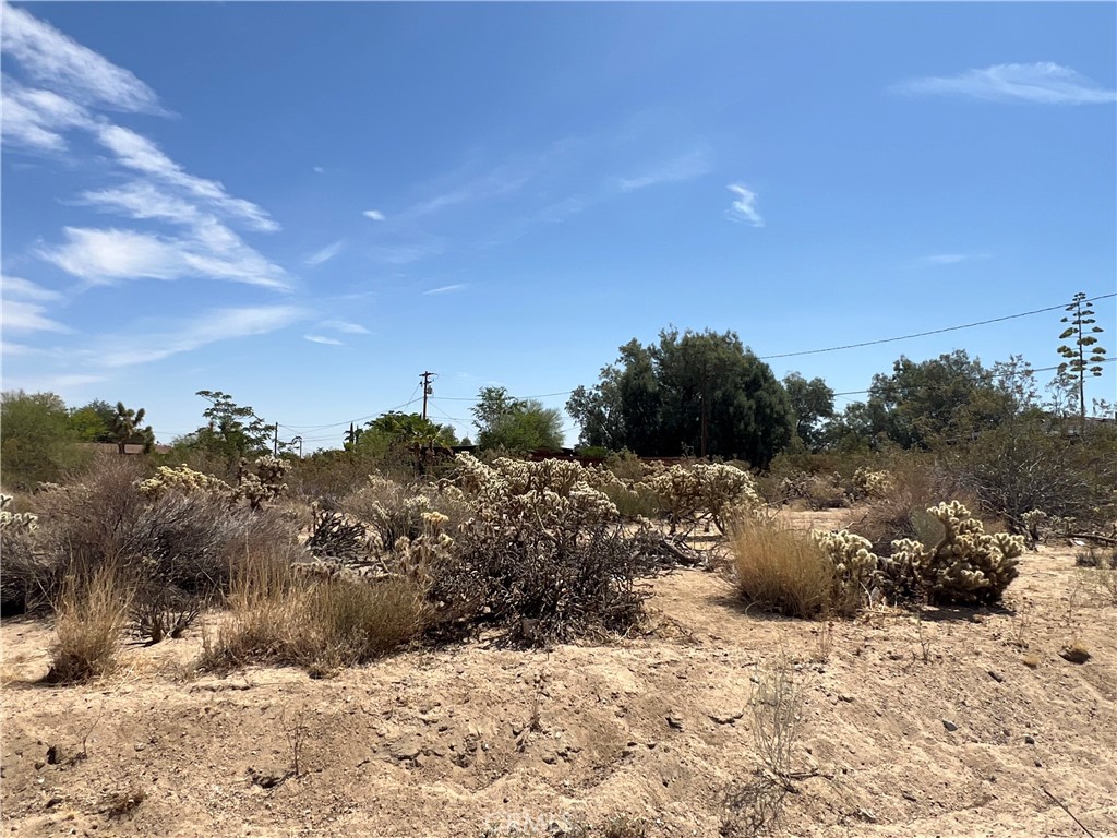 61891 El Reposo Circle Property Photo 4