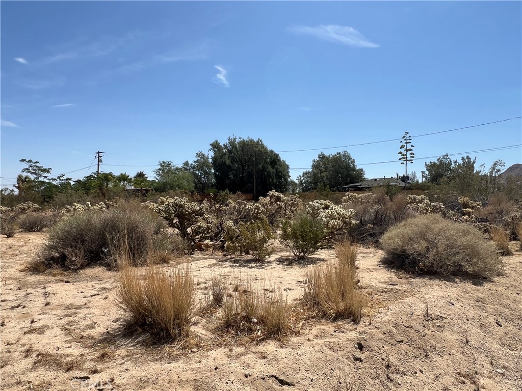 61891 El Reposo Circle Property Photo 5