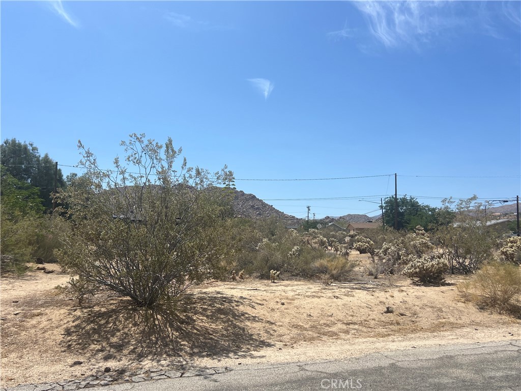 7777 Twentynine Palms Property Photo 4