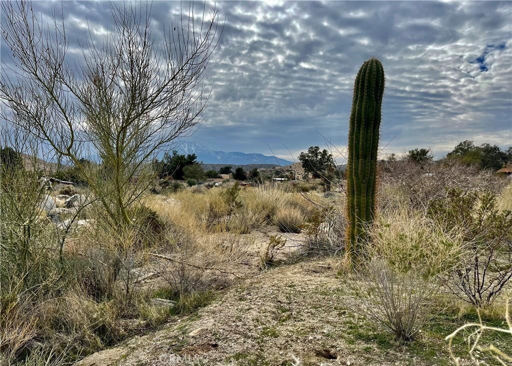 11040 Mescalero Avenue Property Photo 6