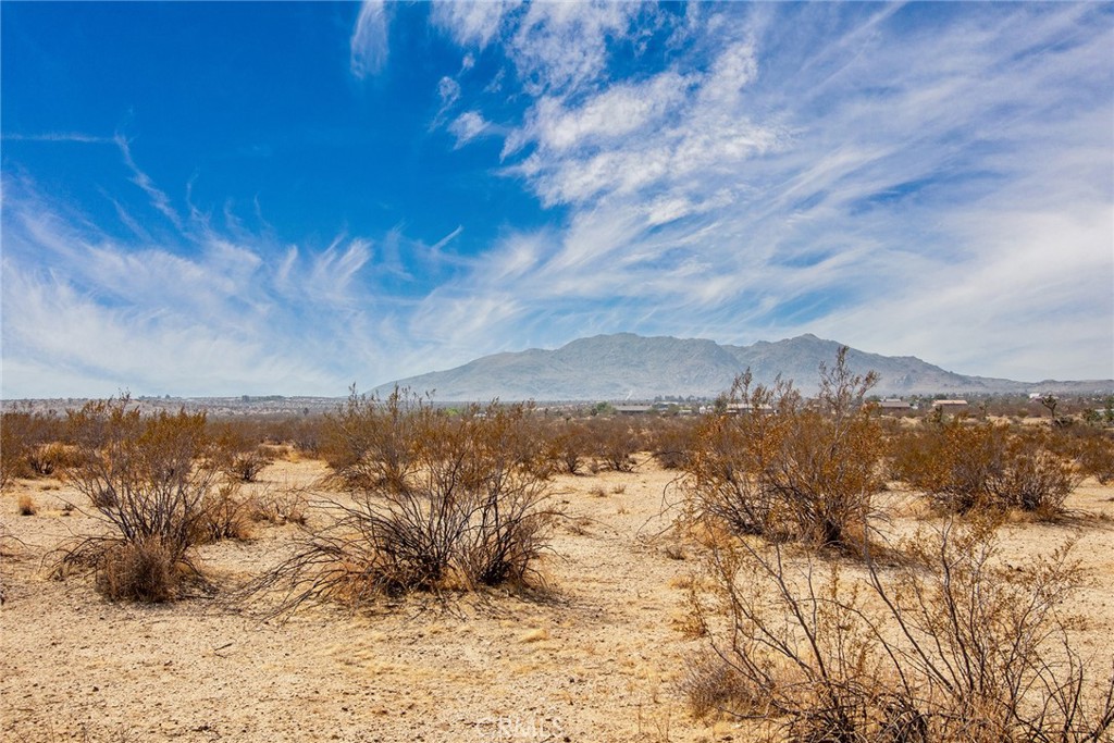 60789 La Brisa Drive Property Photo 4