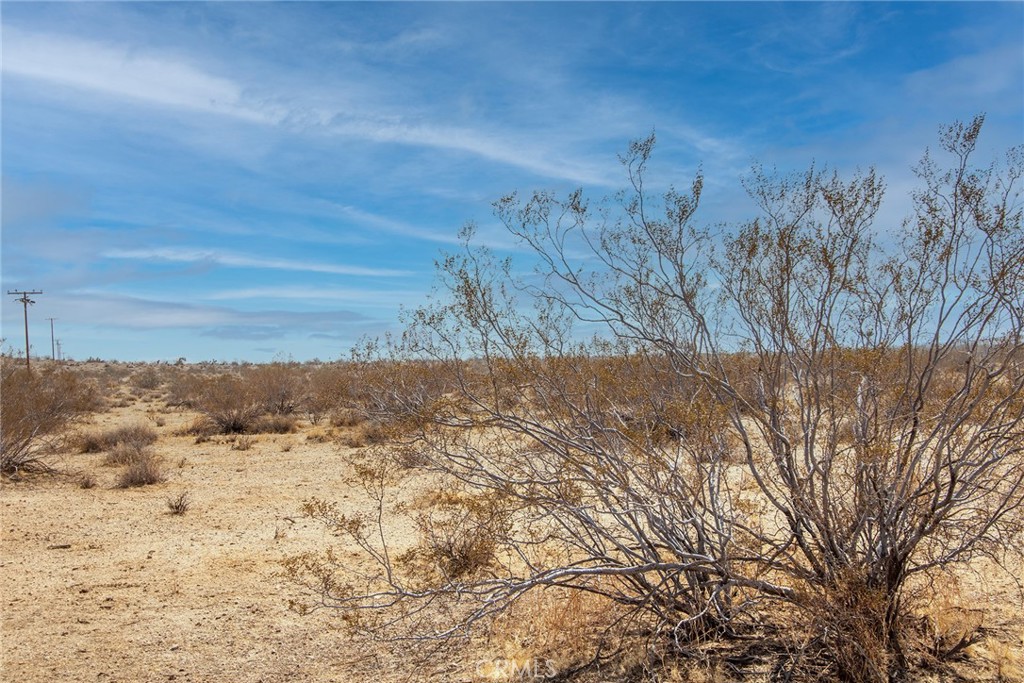 60789 La Brisa Drive Property Photo 8