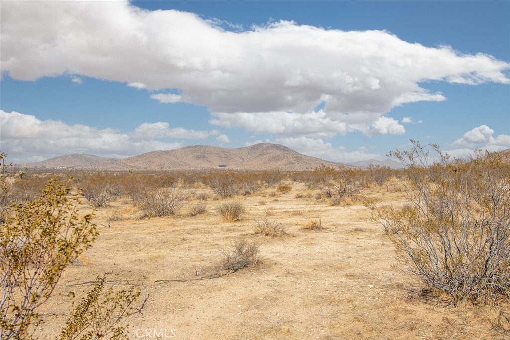 60789 La Brisa Drive Property Photo 12