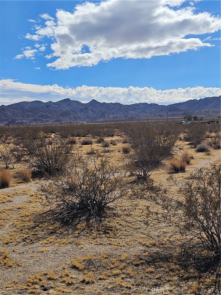 0 Twentynine Palms Highway Property Photo 4