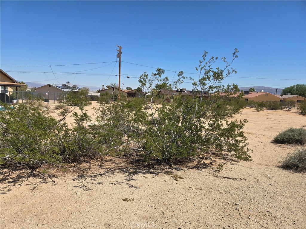 1235 Daisy Avenue Property Photo 1
