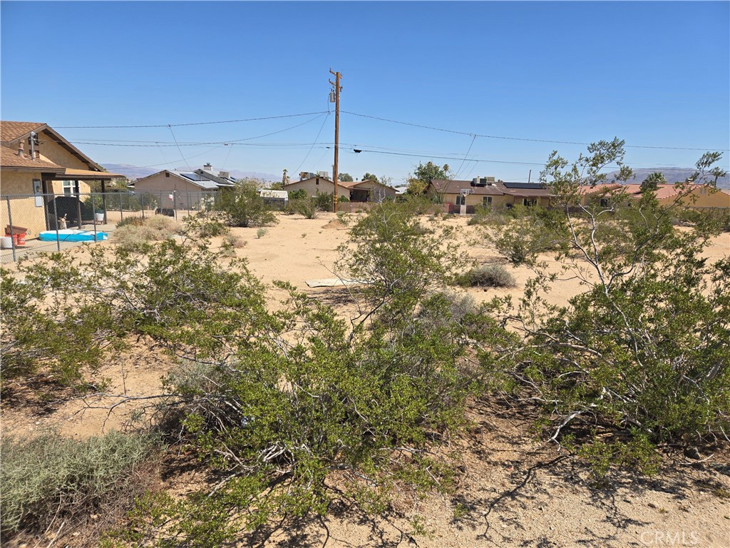 1235 Daisy Avenue Property Photo 3