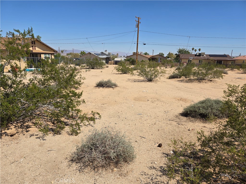1235 Daisy Avenue Property Photo 4