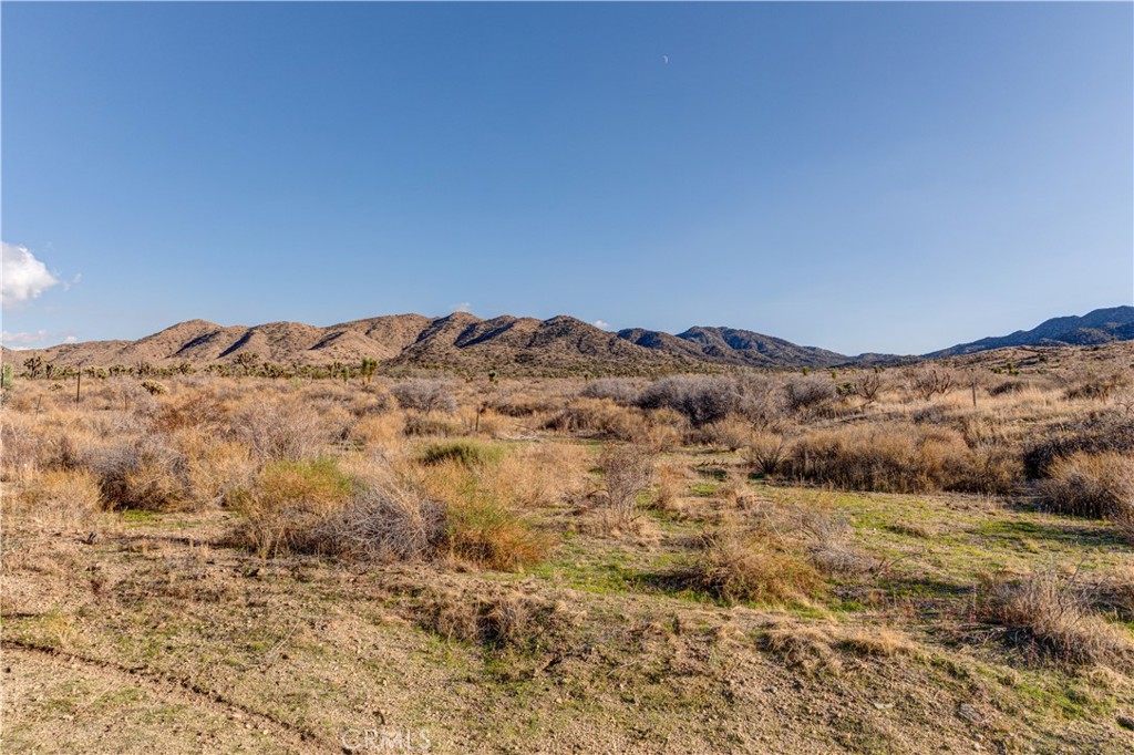 56975 San Andreas Road Property Photo 4