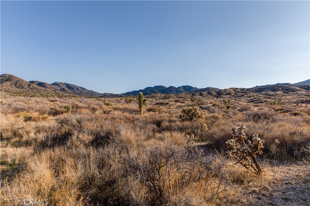 56975 San Andreas Road Property Photo 6