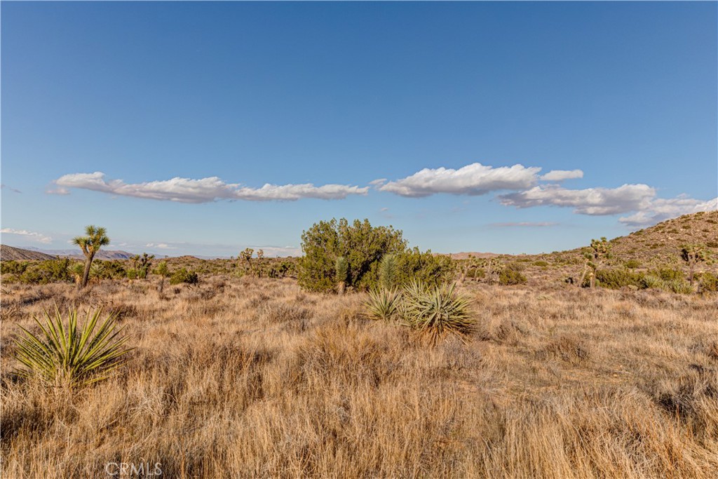 56975 San Andreas Road Property Photo 15