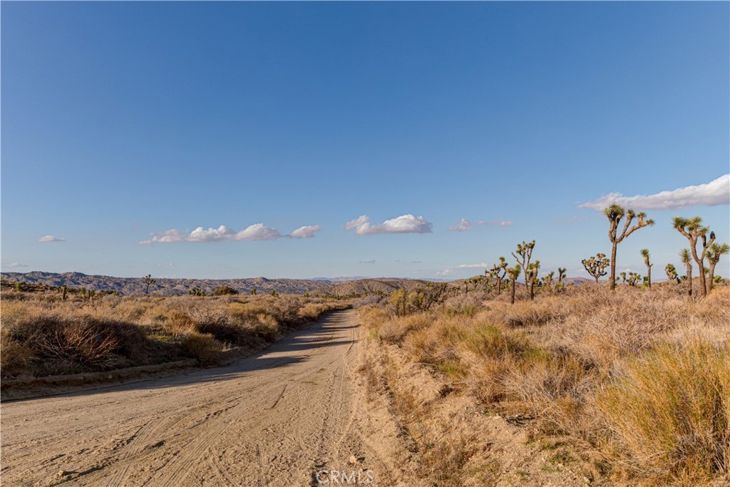 56975 San Andreas Road Property Photo 28