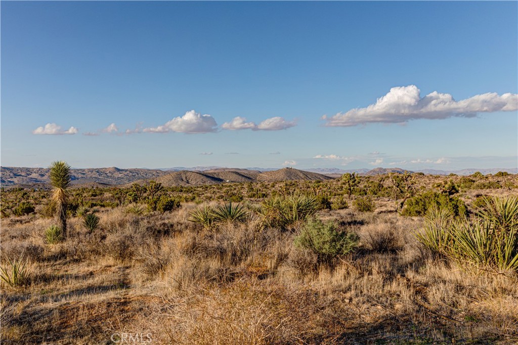 56975 San Andreas Road Property Photo 33