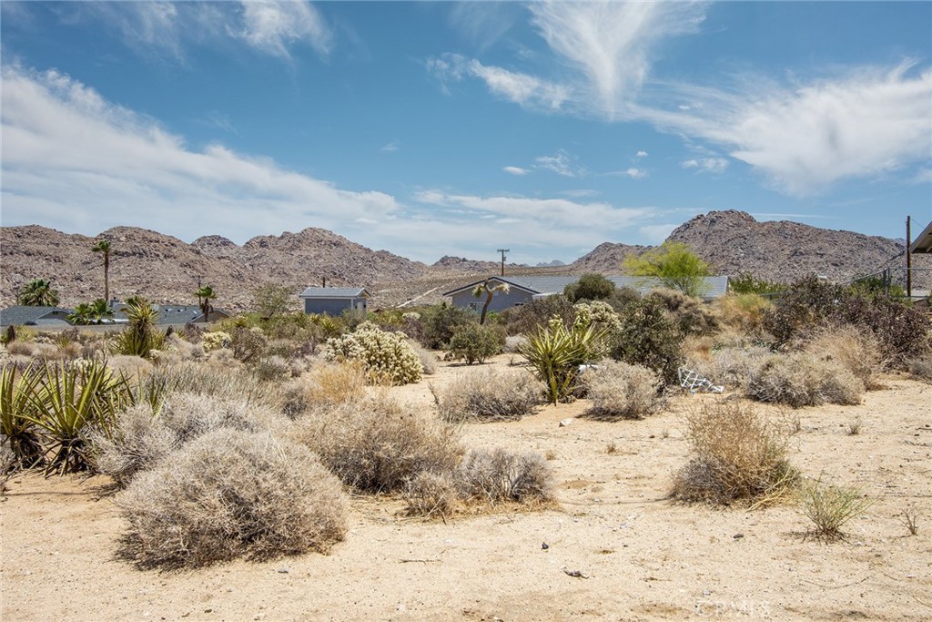 7800 Sunset Property Photo 13