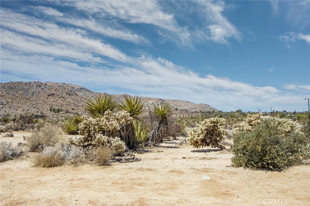 7800 Sunset Property Photo 14