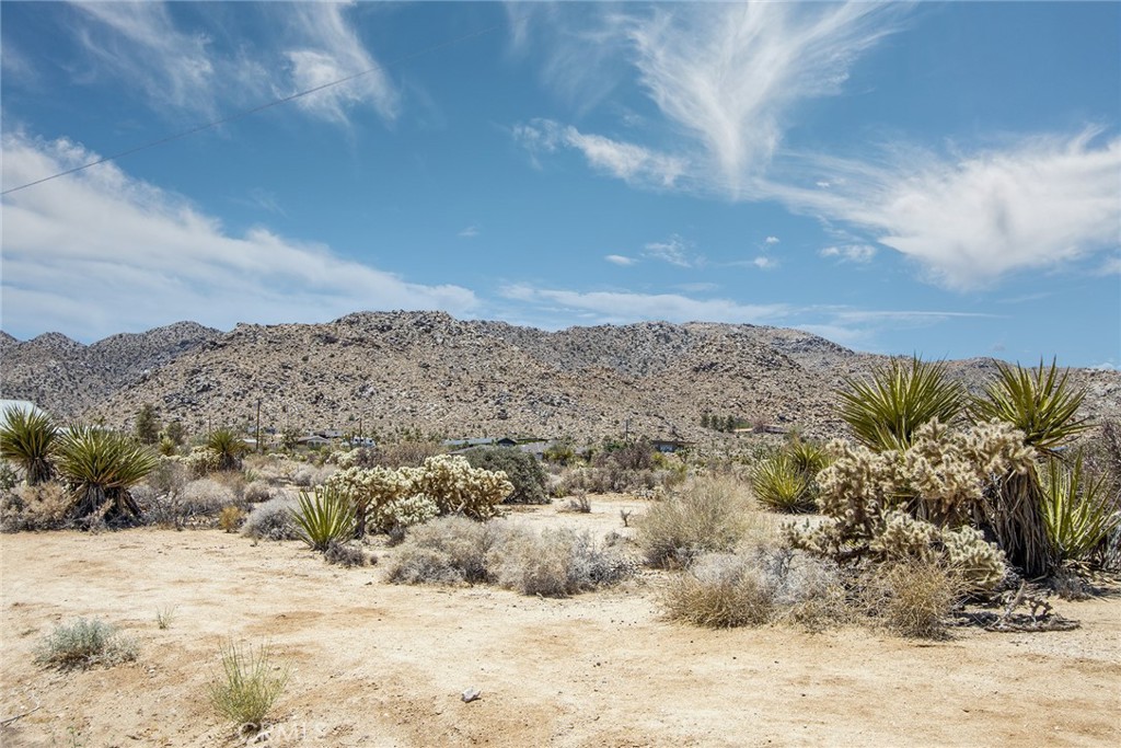 7800 Sunset Property Photo 15