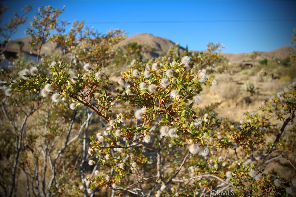 60255 Natoma Trail Property Photo 19