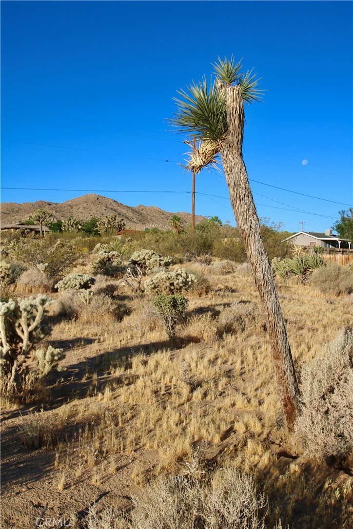 60255 Natoma Trail Property Photo 20