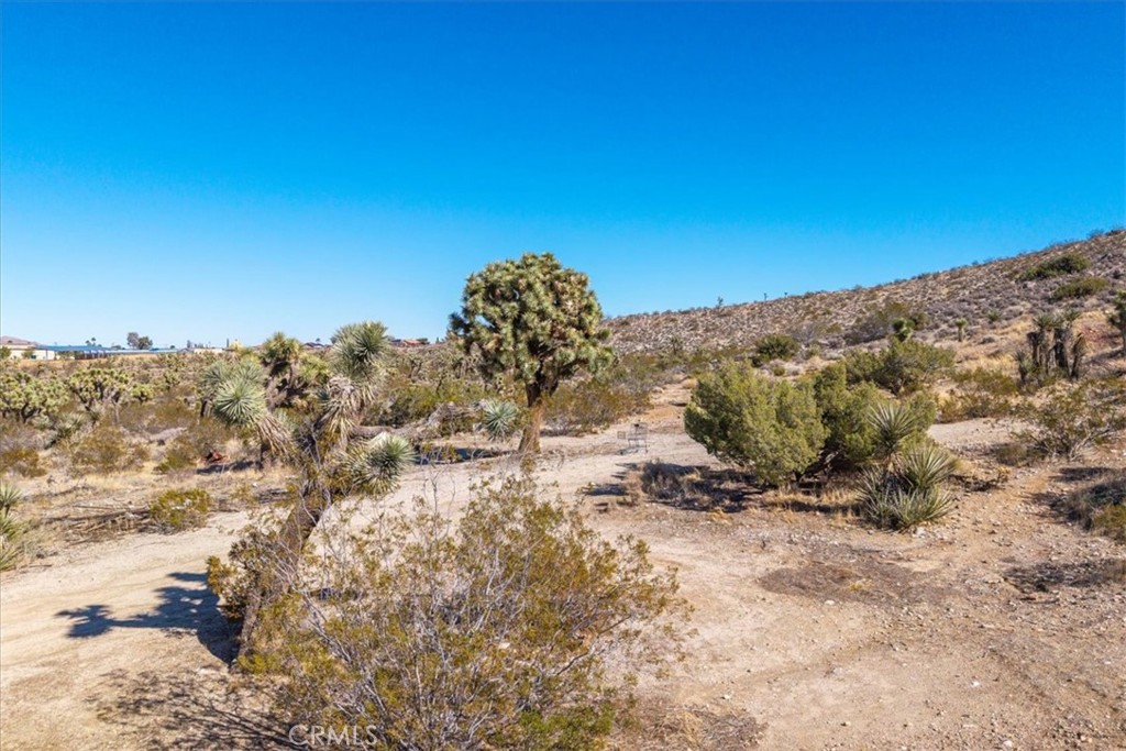 7995 Jericho Property Photo 15