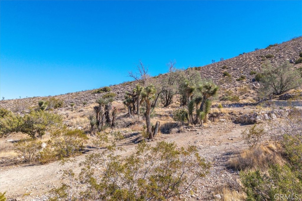 7995 Jericho Property Photo 16