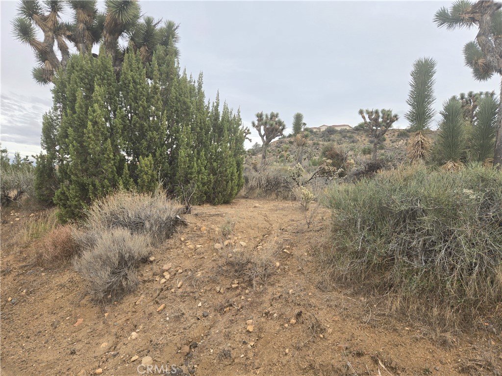54763 Twentynine Palms Highway Property Photo 3