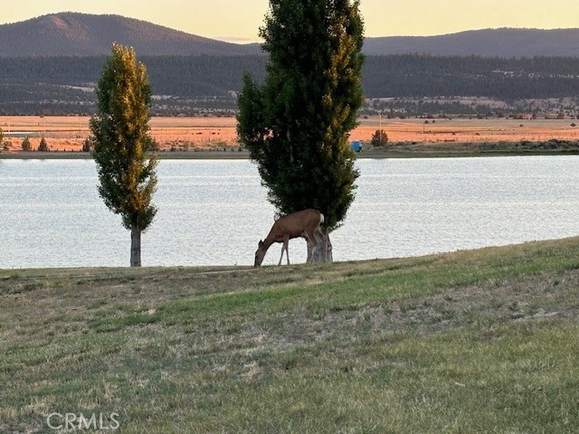 0 Lake View Drive Property Photo 18
