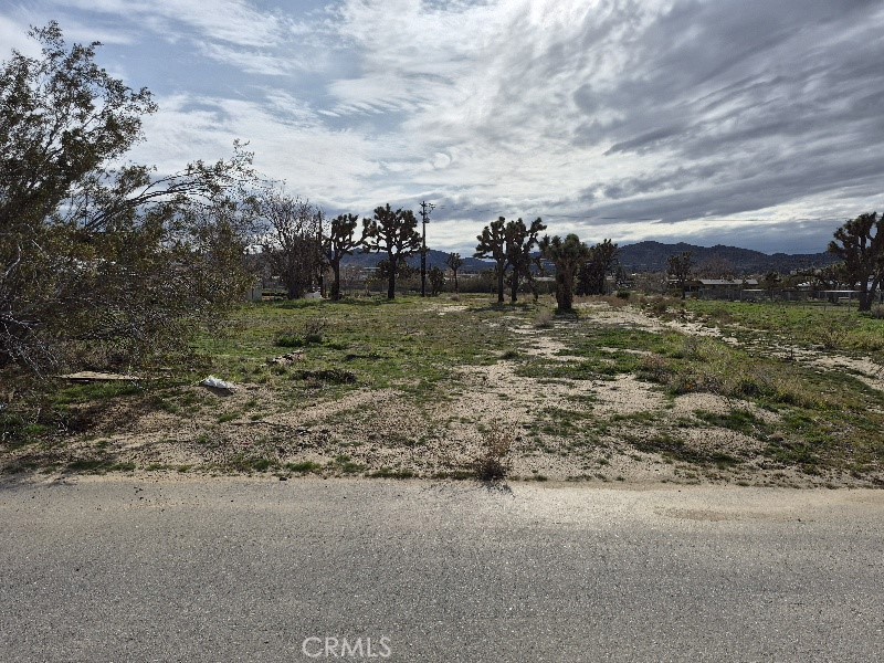 0 Cassia Drive Property Photo 1