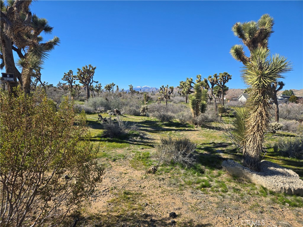 7484 Palm Avenue Property Photo 3