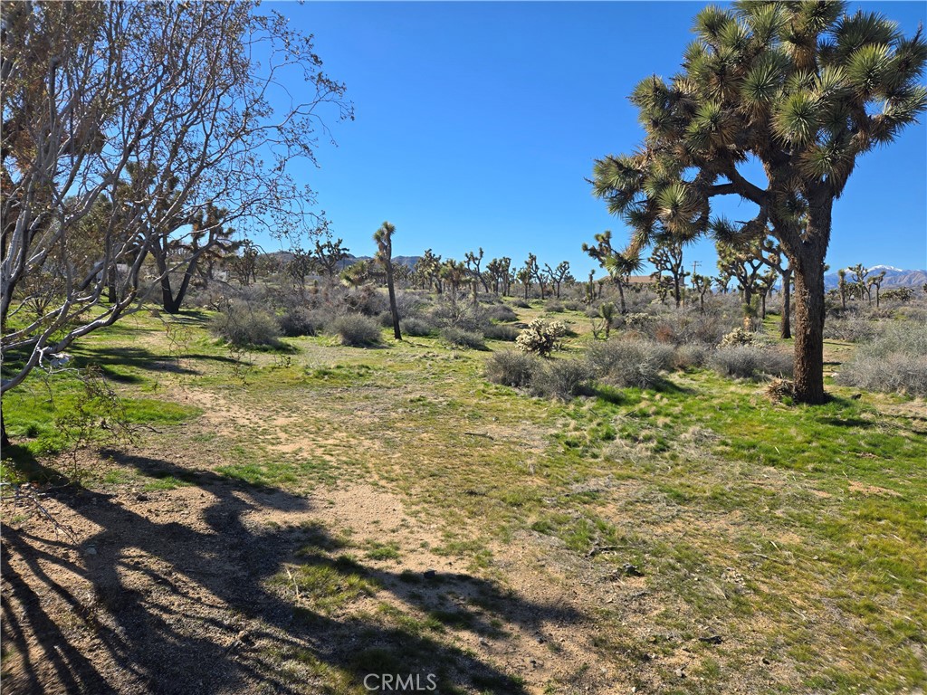 7484 Palm Avenue Property Photo 6