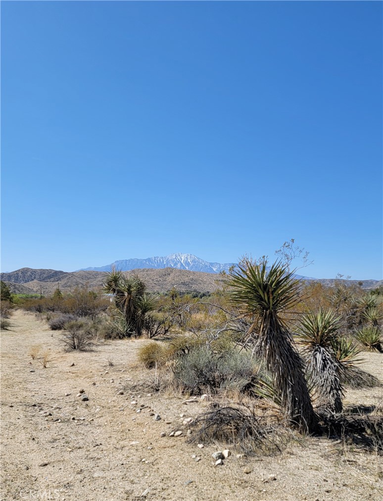 0 Palo Verde Property Photo 1