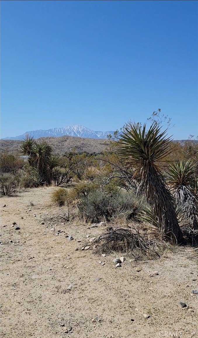 0 Palo Verde Property Photo 2