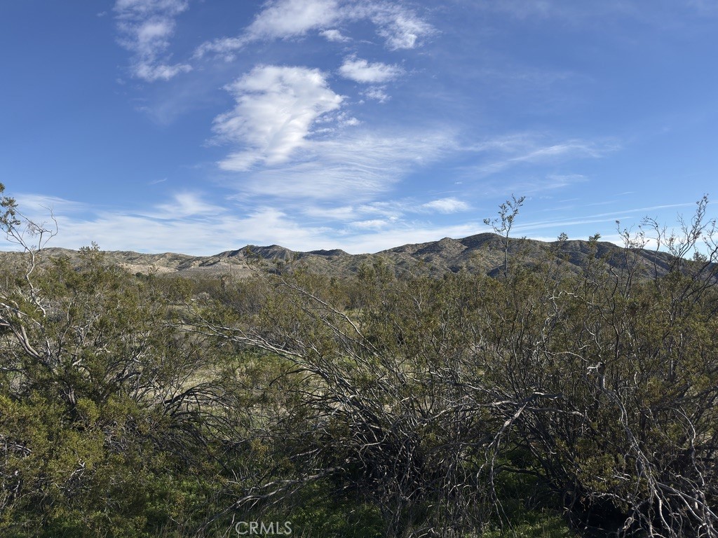 0 Palo Verde Property Photo 3