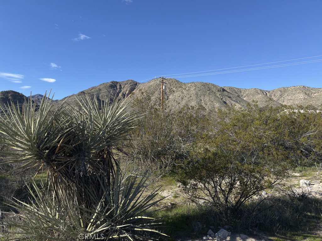 0 Palo Verde Property Photo 4