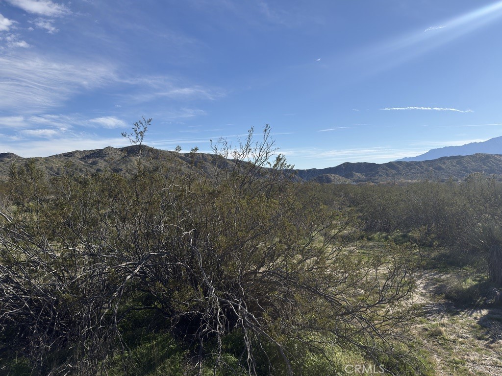 0 Palo Verde Property Photo 5