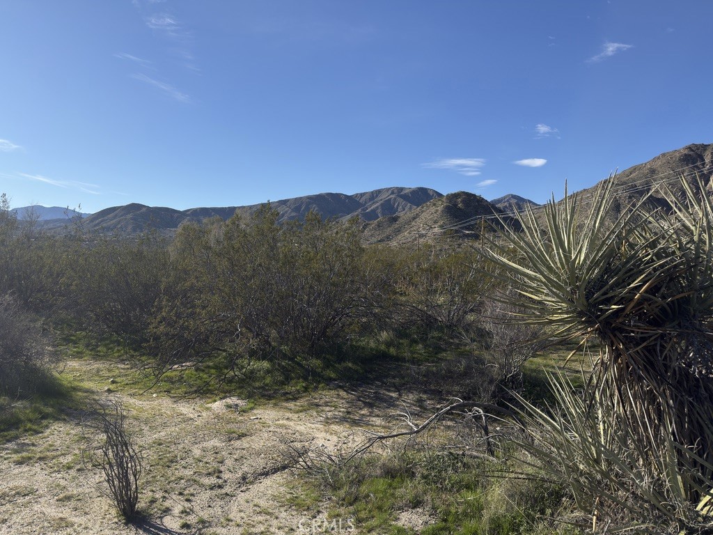 0 Palo Verde Property Photo 7