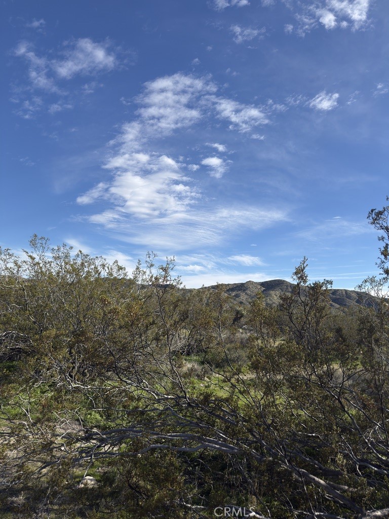 0 Palo Verde Property Photo 8