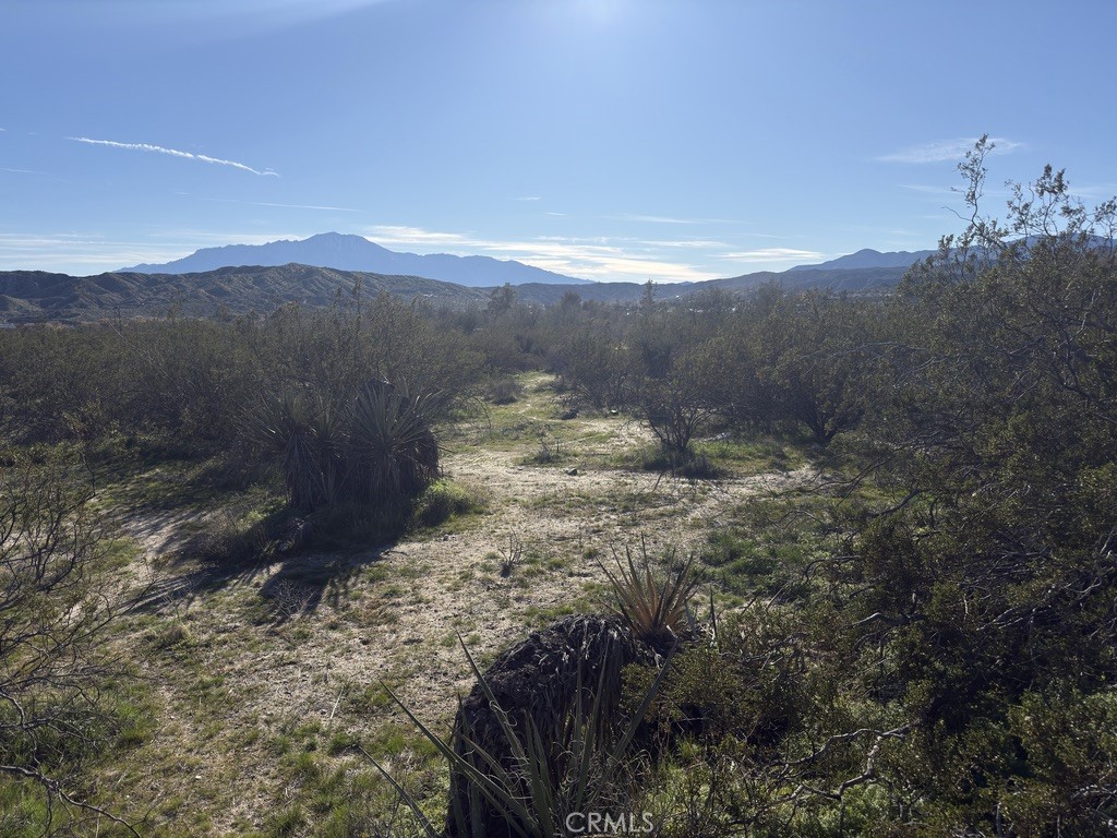 0 Palo Verde Property Photo 9