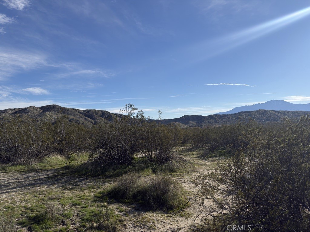 0 Palo Verde Property Photo 11