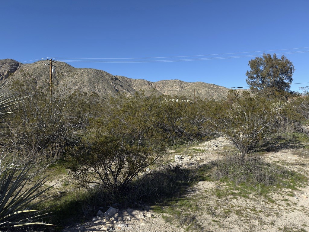0 Palo Verde Property Photo 13