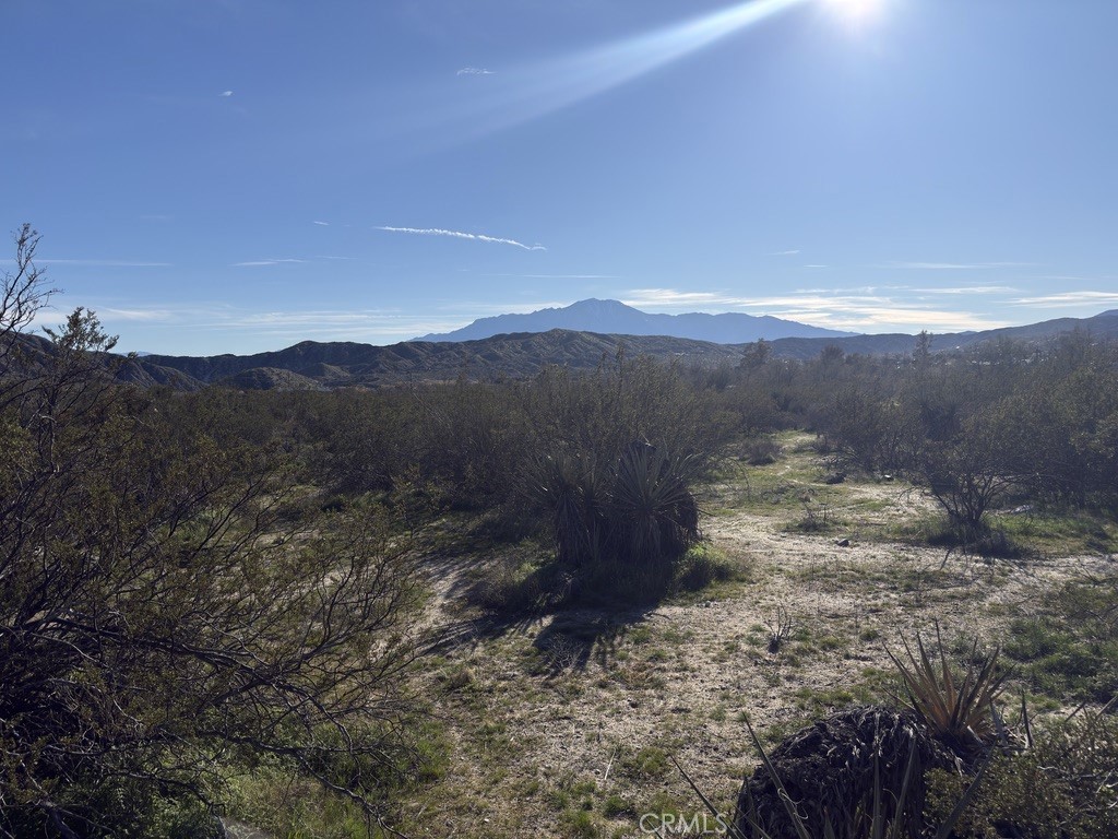 0 Palo Verde Property Photo 15
