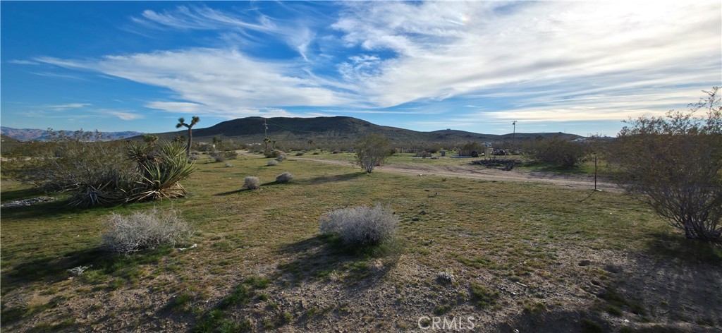 59787 Sharp Terrace Drive Property Photo 2