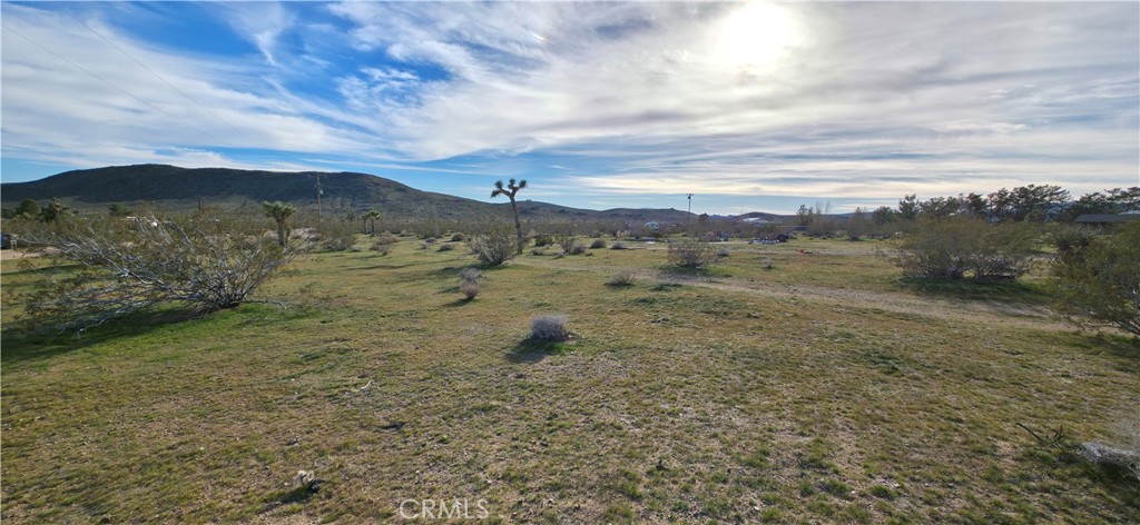 59787 Sharp Terrace Drive Property Photo 3