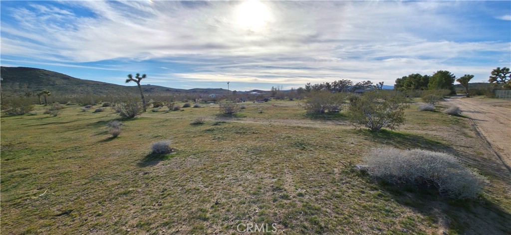 59787 Sharp Terrace Drive Property Photo 4