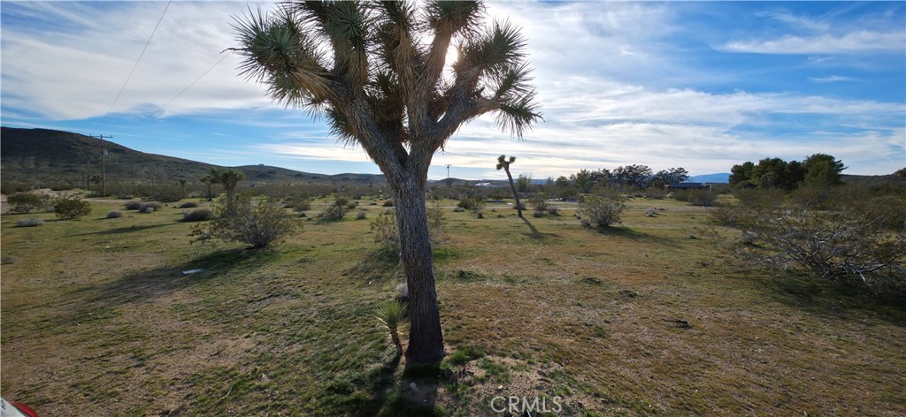 59787 Sharp Terrace Drive Property Photo 6