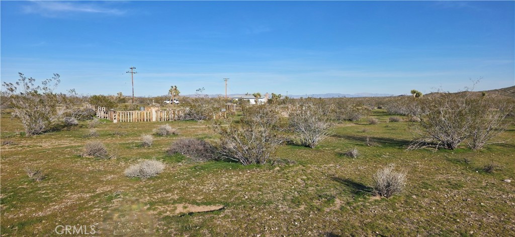 59787 Sharp Terrace Drive Property Photo 10