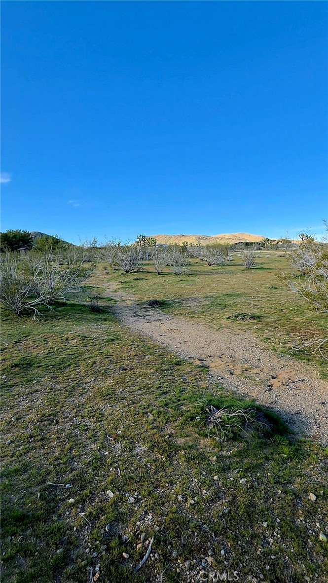 59787 Sharp Terrace Drive Property Photo 15